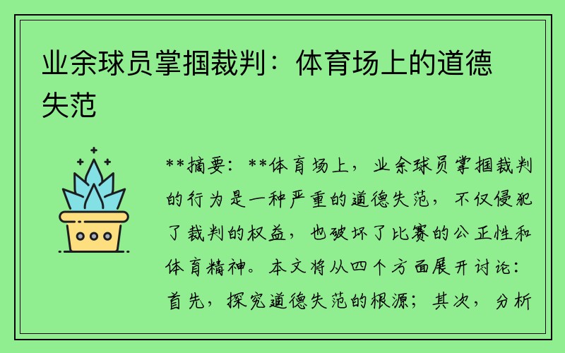 业余球员掌掴裁判：体育场上的道德失范