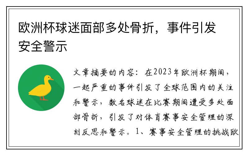 欧洲杯球迷面部多处骨折，事件引发安全警示